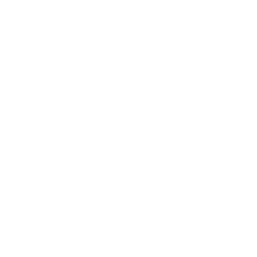 Stiegl